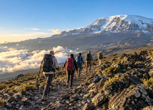 Climbing Kilimanjaro on the Marangu Route: A Beginner’s Guide